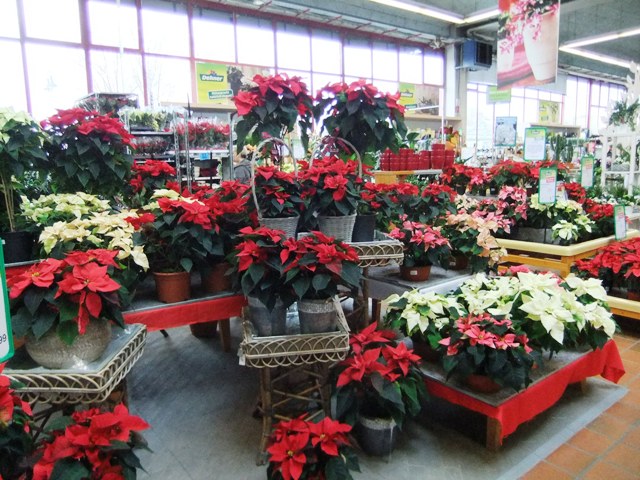 Adventskalender Türchen Nr. 7