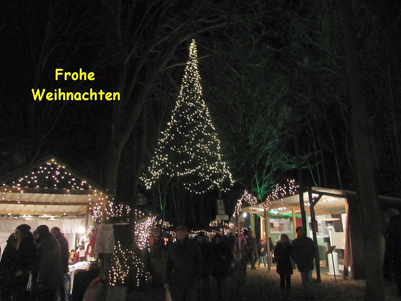 Weihnachtsbaum ...