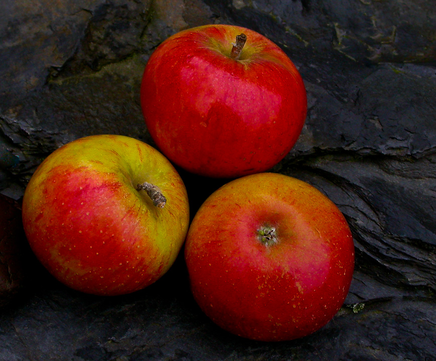 ÄPFEL VOM BAUM DES LEBENS ...