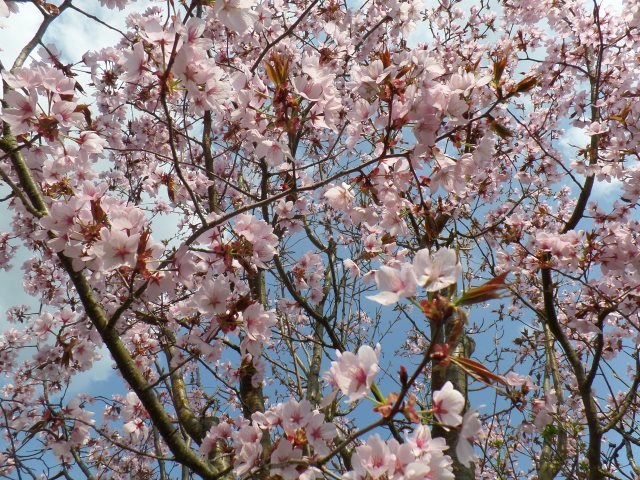 Frühling bei uns !!