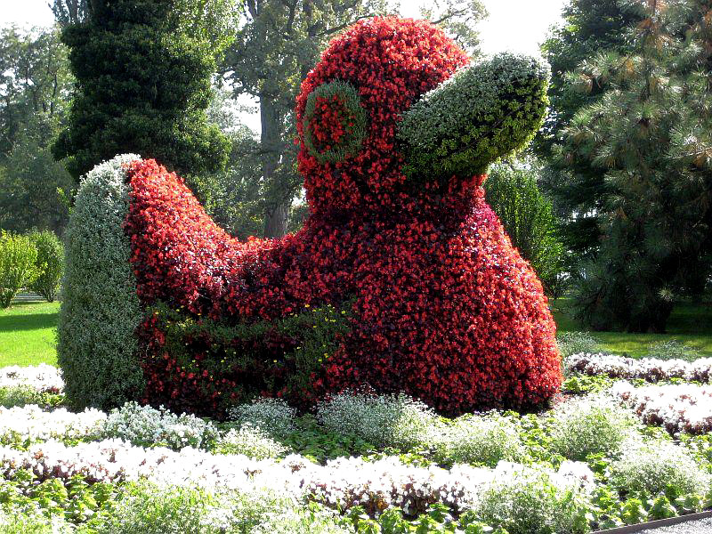 Gruß von der Mainau