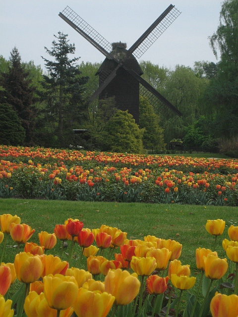 Weltvogelpark Walsrode