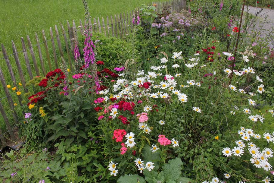 Buntes Allerlei