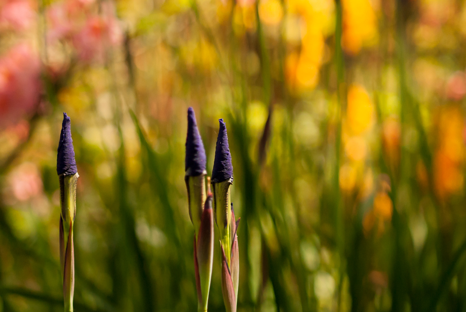 Bunte Begegnung im Park