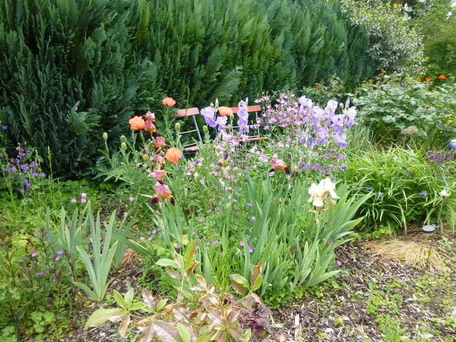 Lilien mit Mohn