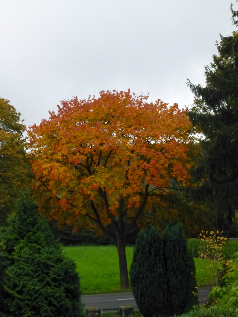 Herbstfarben