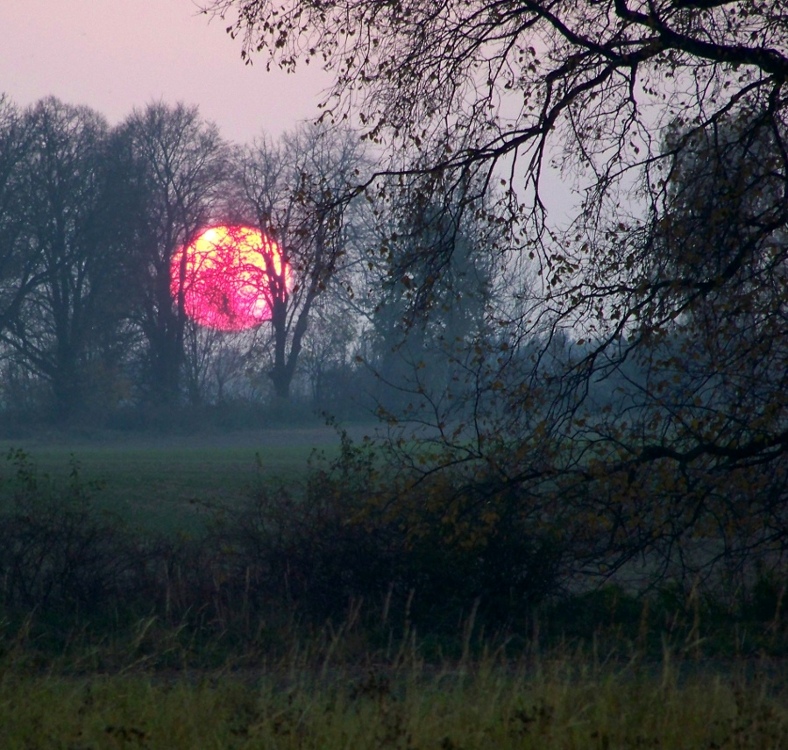 Sonne und Nebel