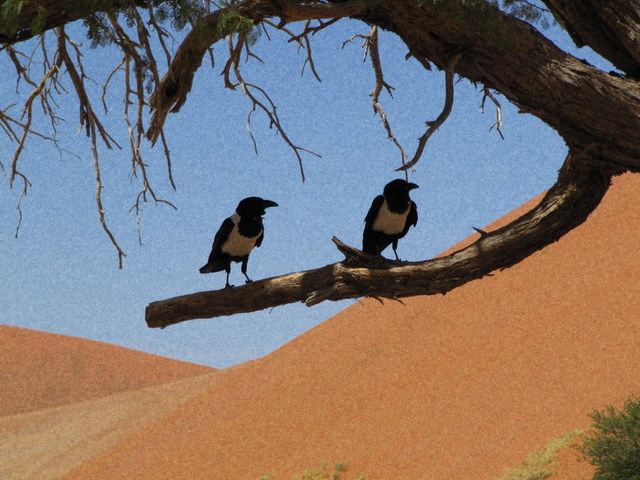 Namibia 2009