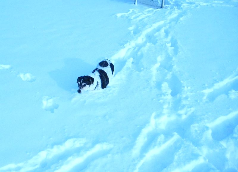 Ein Weihnachtsspaziergang ...