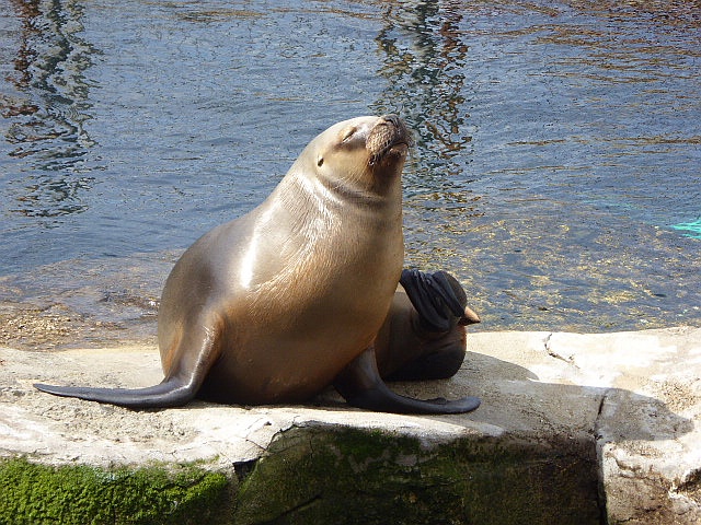 Zoo am Meer