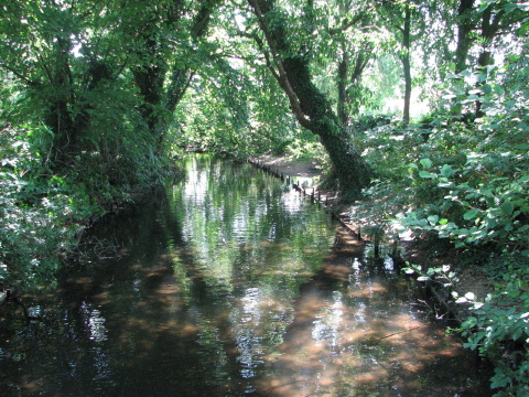 beim Spaziergang entdeckt