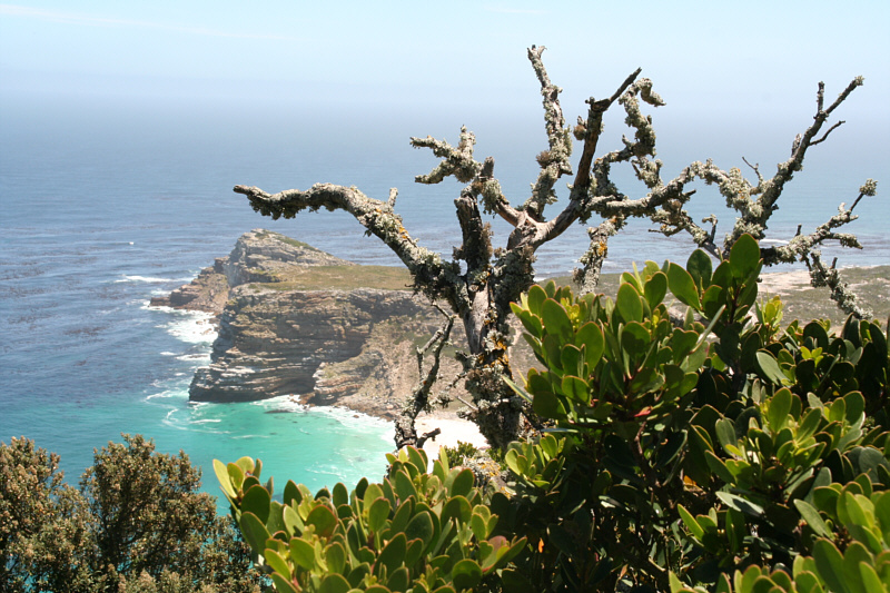 Cape of Good Hope