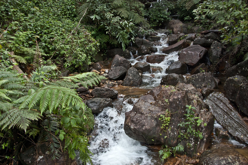 Wasserfall