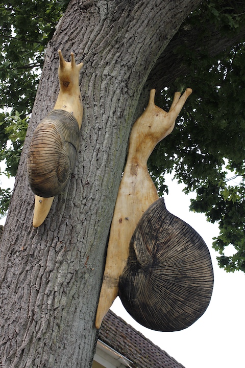 Riesen  Holz Schnecken