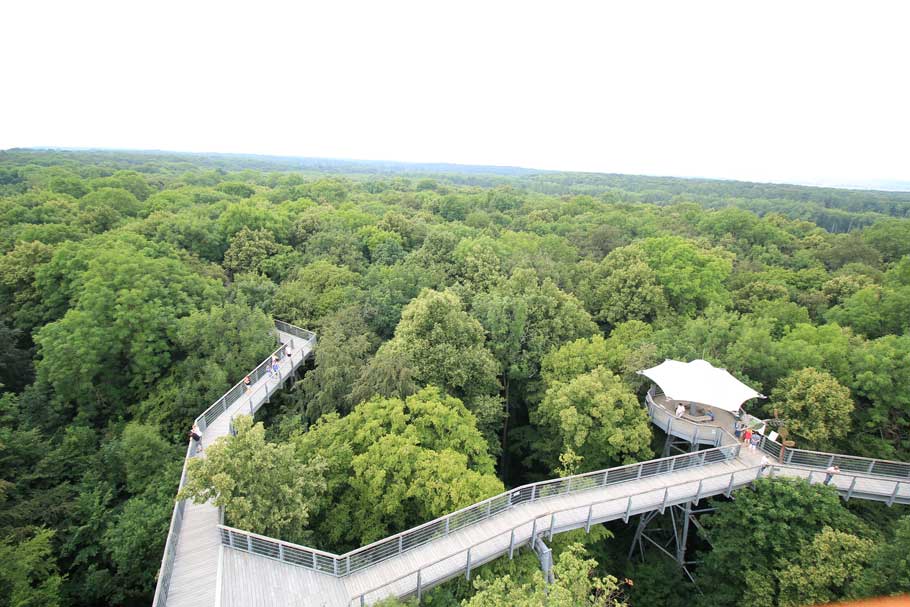 Baumwipfelpfad in Thüringen