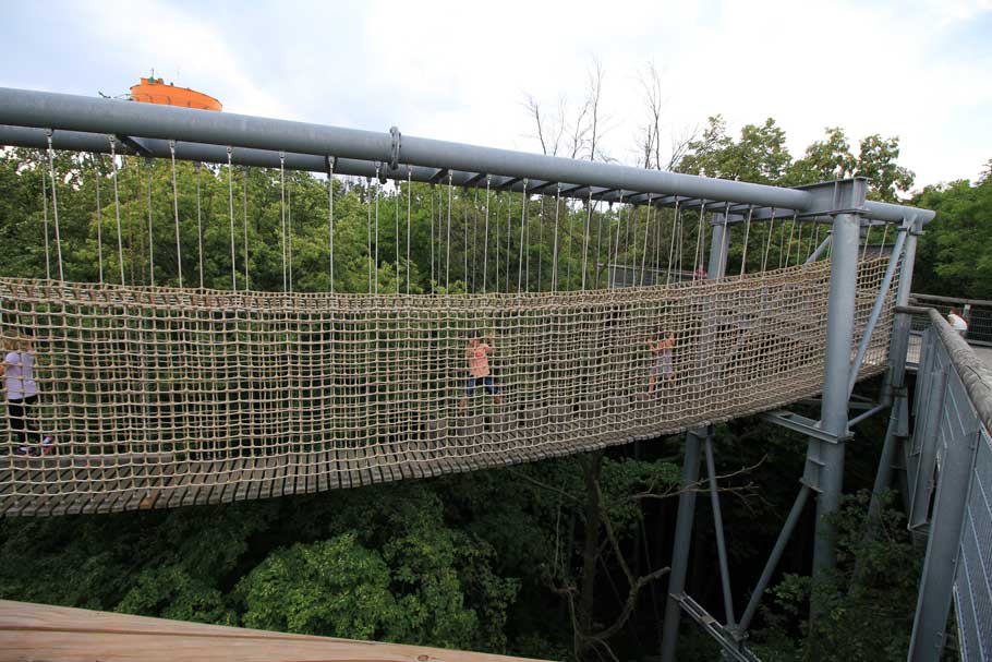 Baumwipfelweg im Naturschutzgebiet Hainich
