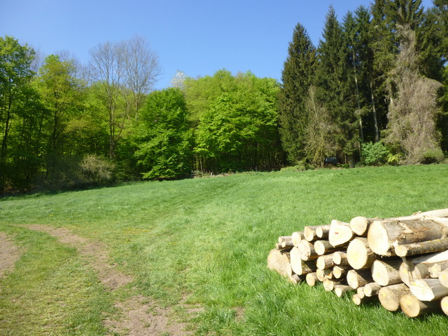 Letzter Spaziergang in die Leuchte