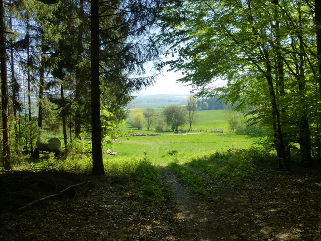 Letzter Spaziergang in die Leuchte