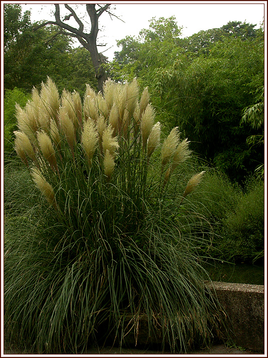 ZOO DUISBURG 1