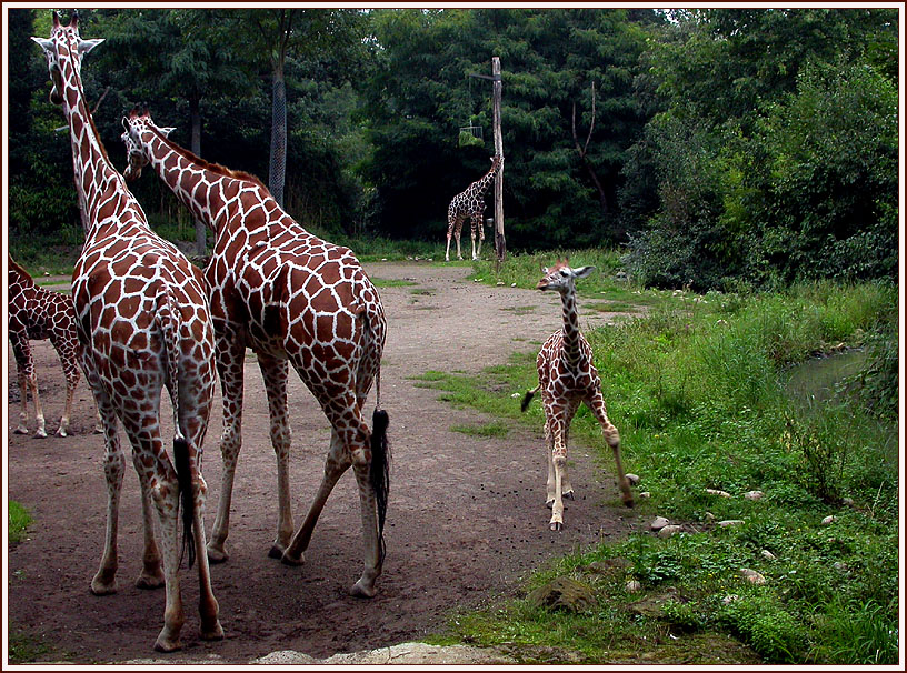 ZOO DUISBURG 2