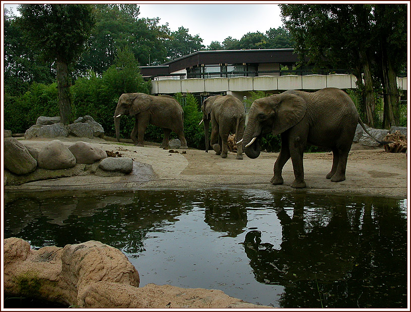 ZOO DUISBURG 3