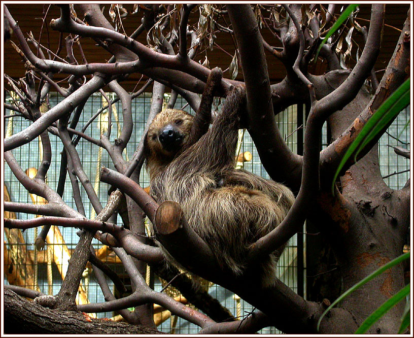 ZOO DUISBURG 7