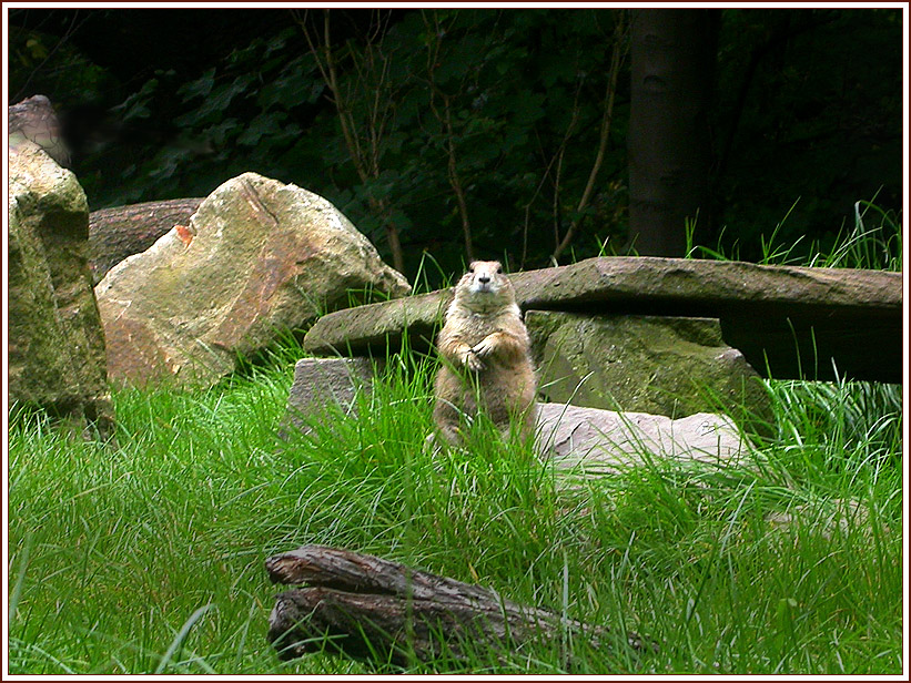 ZOO DUISBURG 6