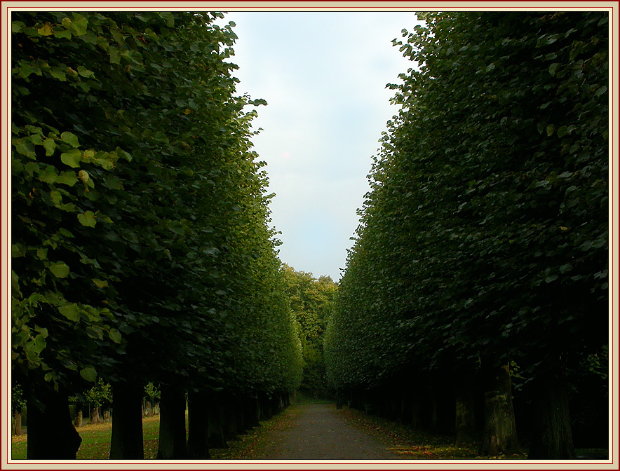 LINDEN-ALLEE