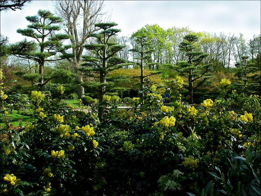 DÜSSELDORFS NORDPARK 6