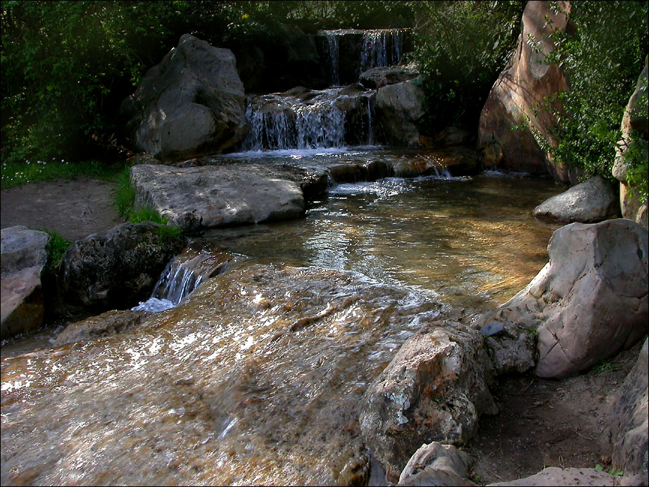 DÜSSELDORFS NORDPARK 7