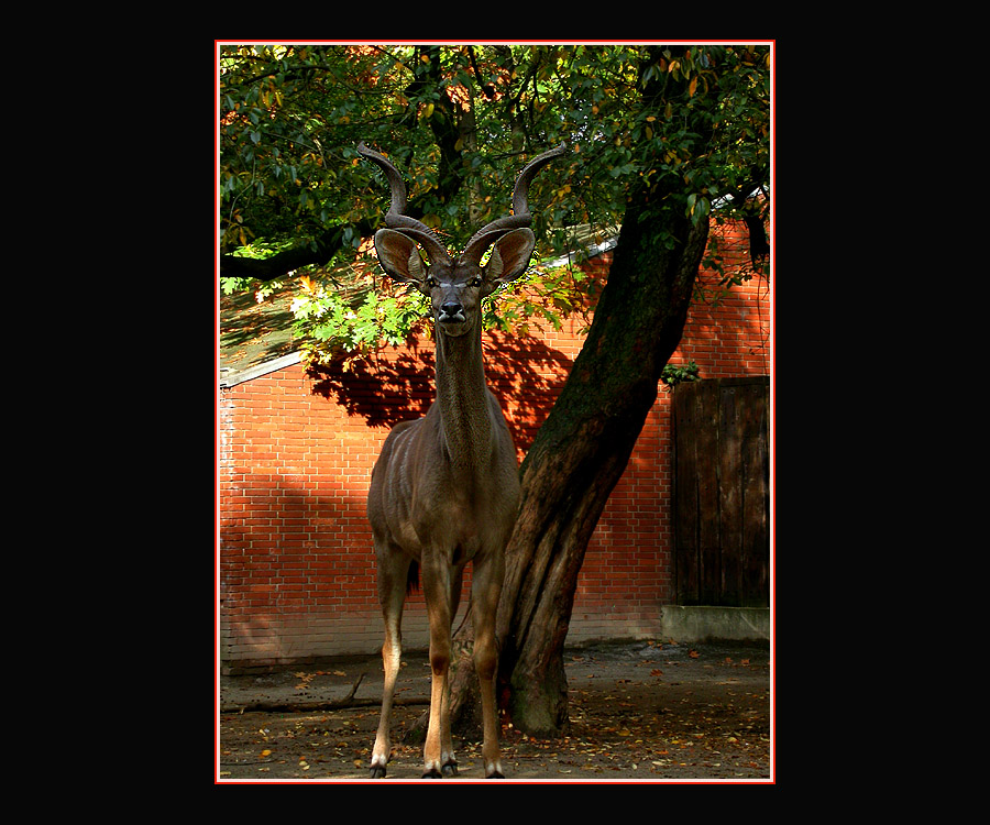 ZOO DUISBURG 11