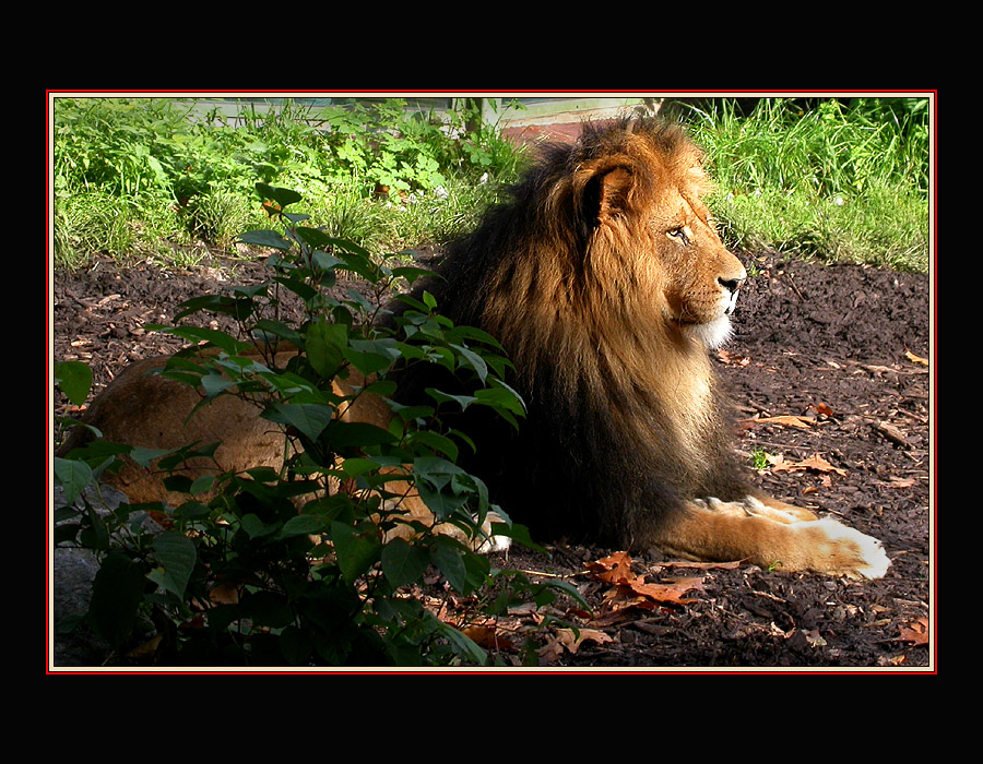 ZOO DUISBURG 15