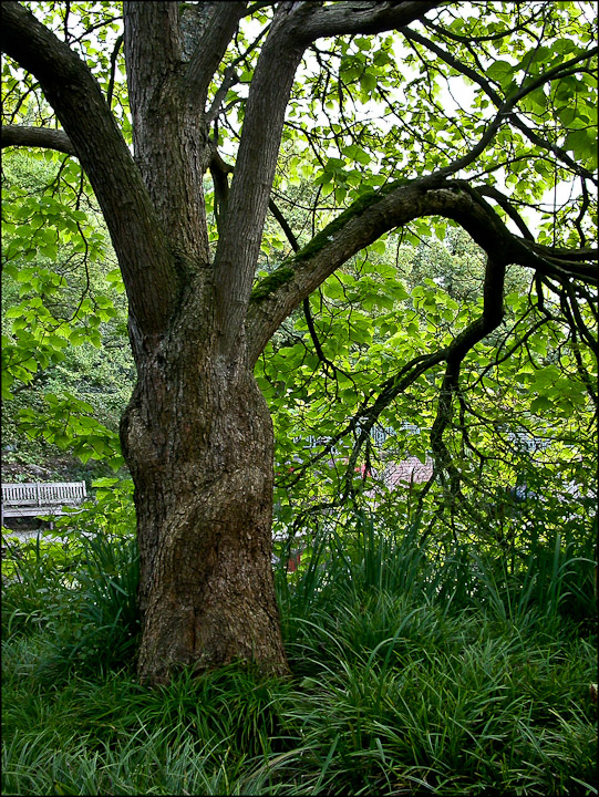 DÜSSELDORFS SÜDPARK 5