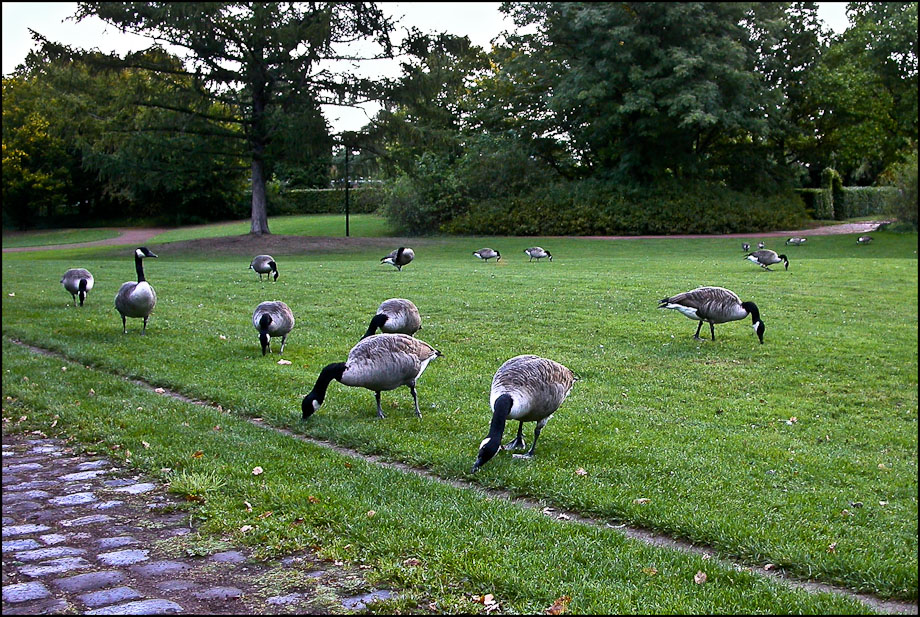 DÜSSELDORFS SÜDPARK 4