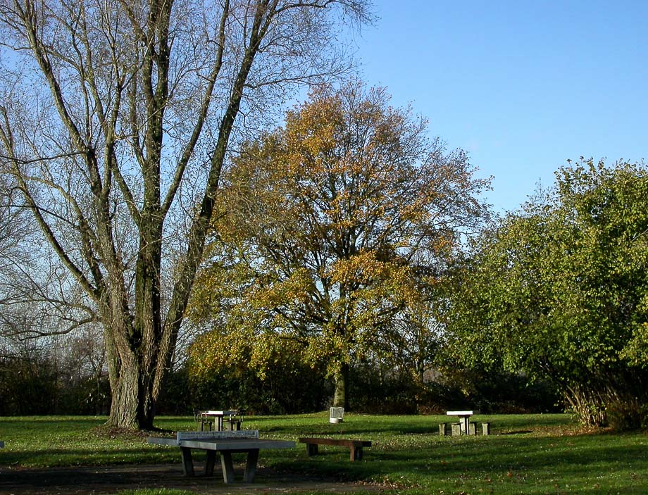 HERBSTSPAZIERGANG