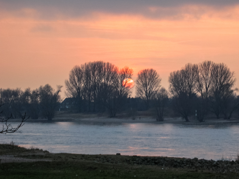 AM RHEIN