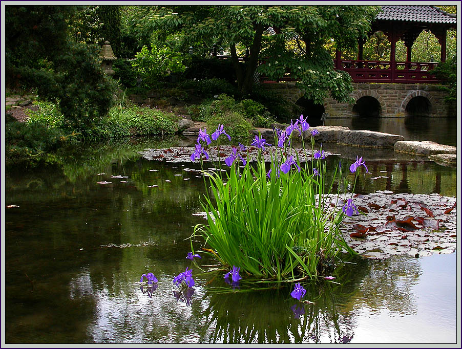 JAP. GARTEN LEVERKUSEN 12