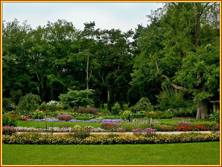 BAMBERG HAIN