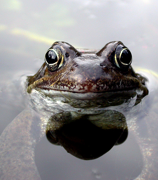 WAS GUCKST DU?