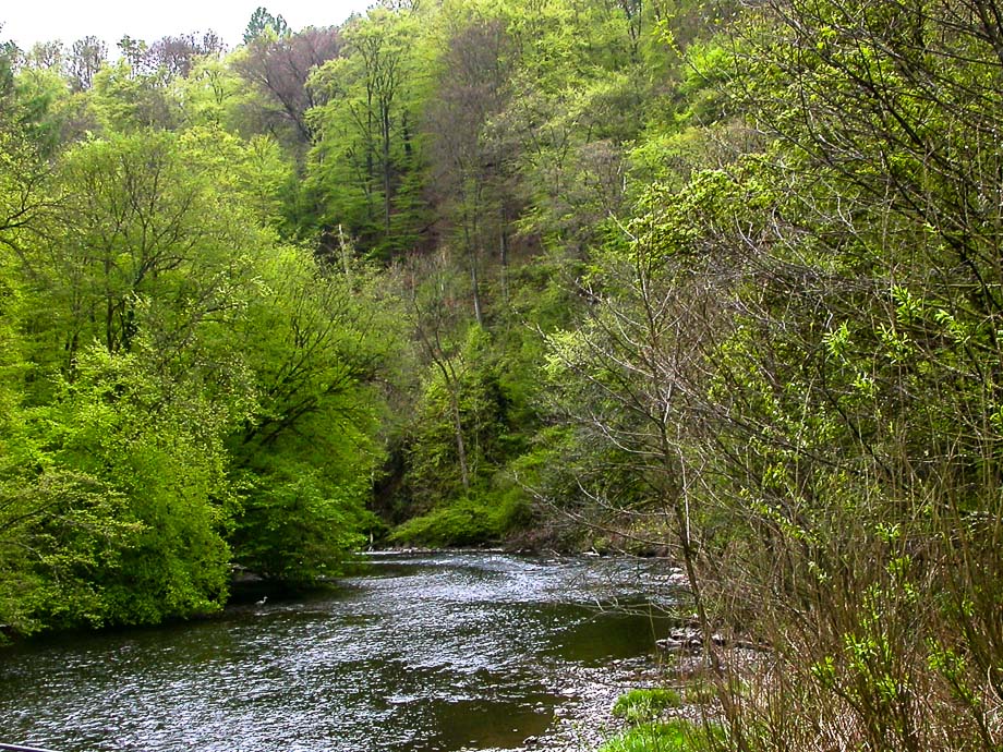 MÜNGSTENER BRÜCKENPARK