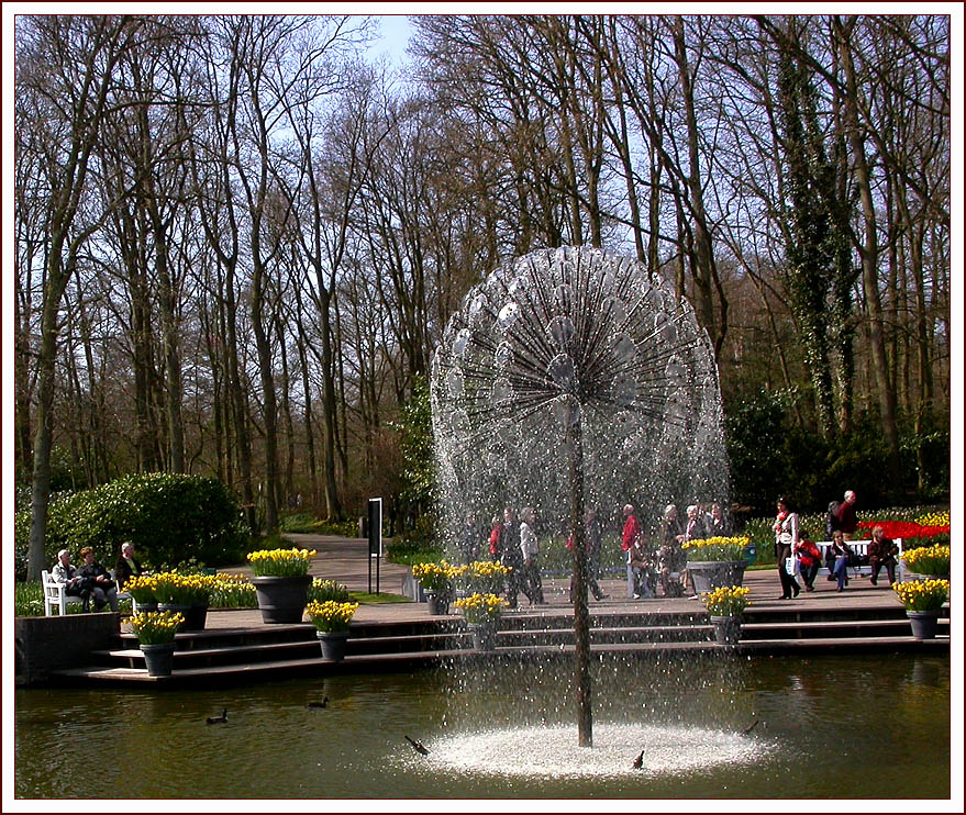 KEUKENHOF 4