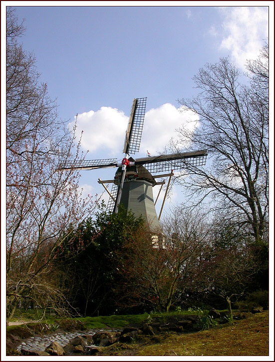 KEUKENHOF 1