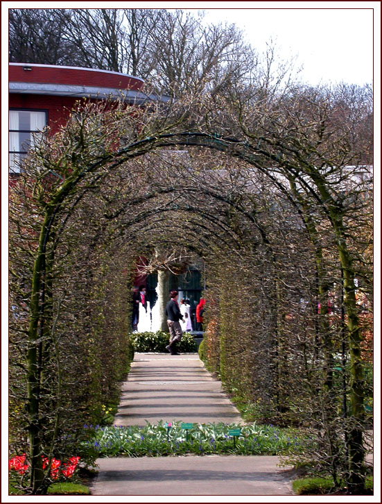 KEUKENHOF 3