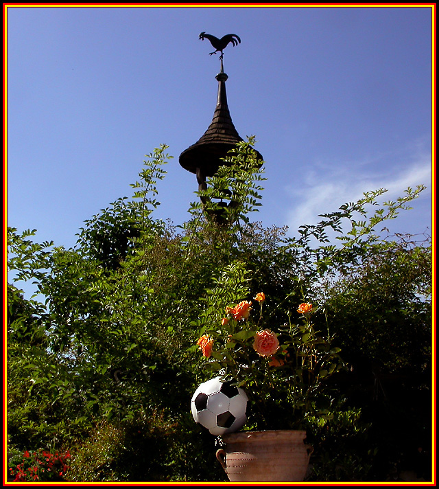 JEDER BLUMENTOPF ...