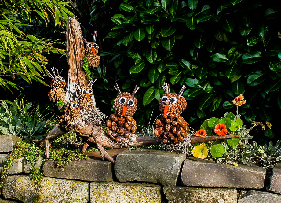 ZAPFENEULEN-FAMILIE ...