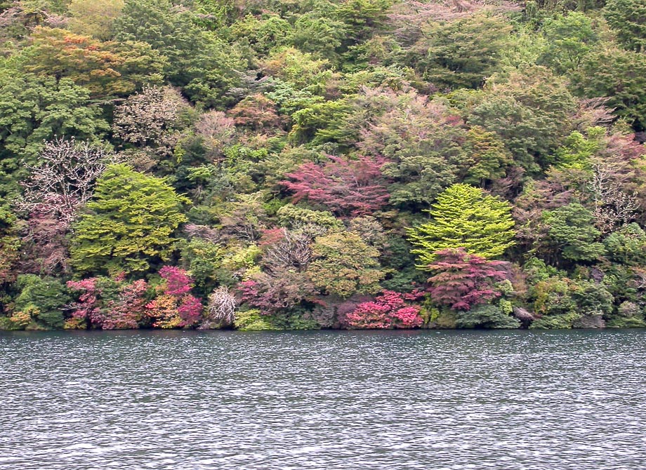 JAPAN - HAKONE - ASHISEE