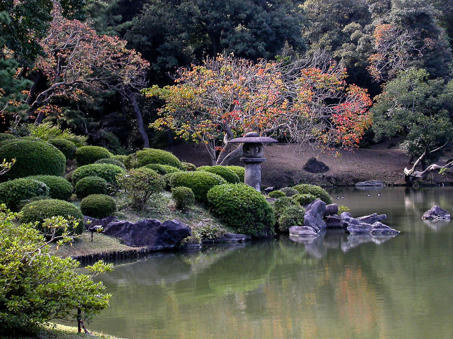 JAPAN - TOKIO - RIKUGI-EN