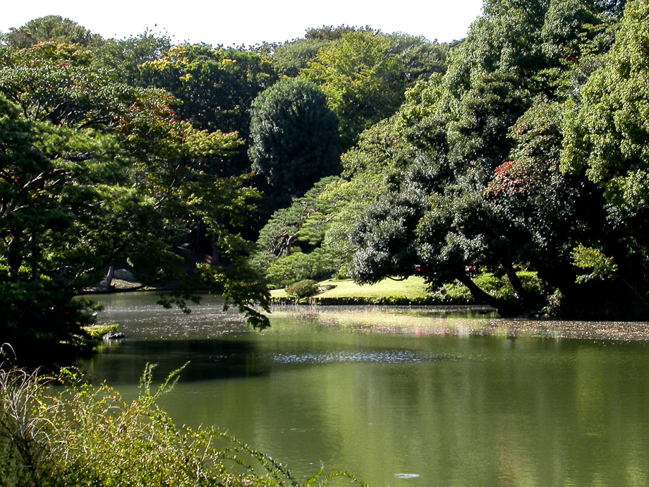JAPAN - TOKIO - RIKUGI-EN