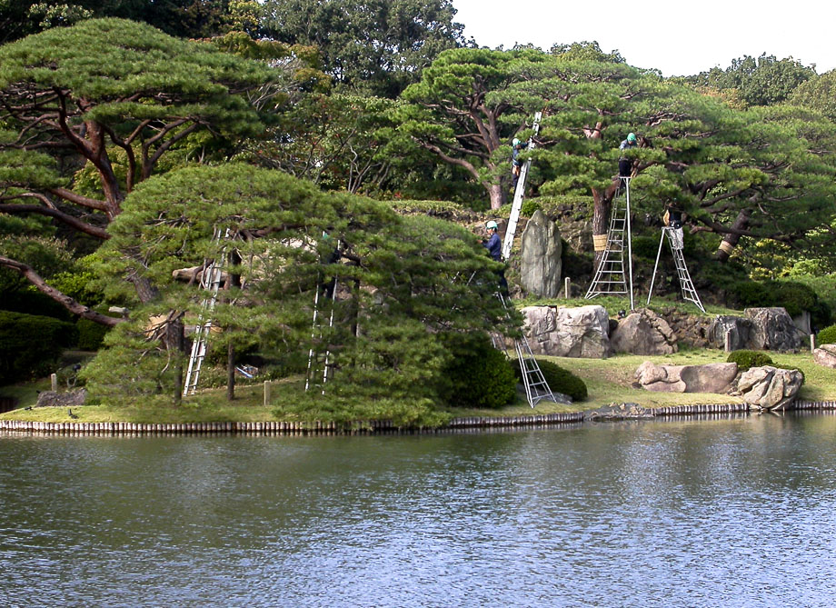 JAPAN - TOKIO - RIKUGI-EN