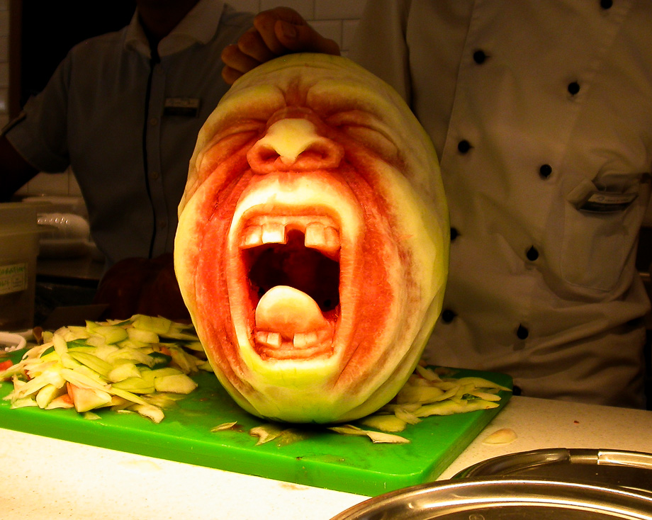 ZUM NORDKAP - SEETAGE